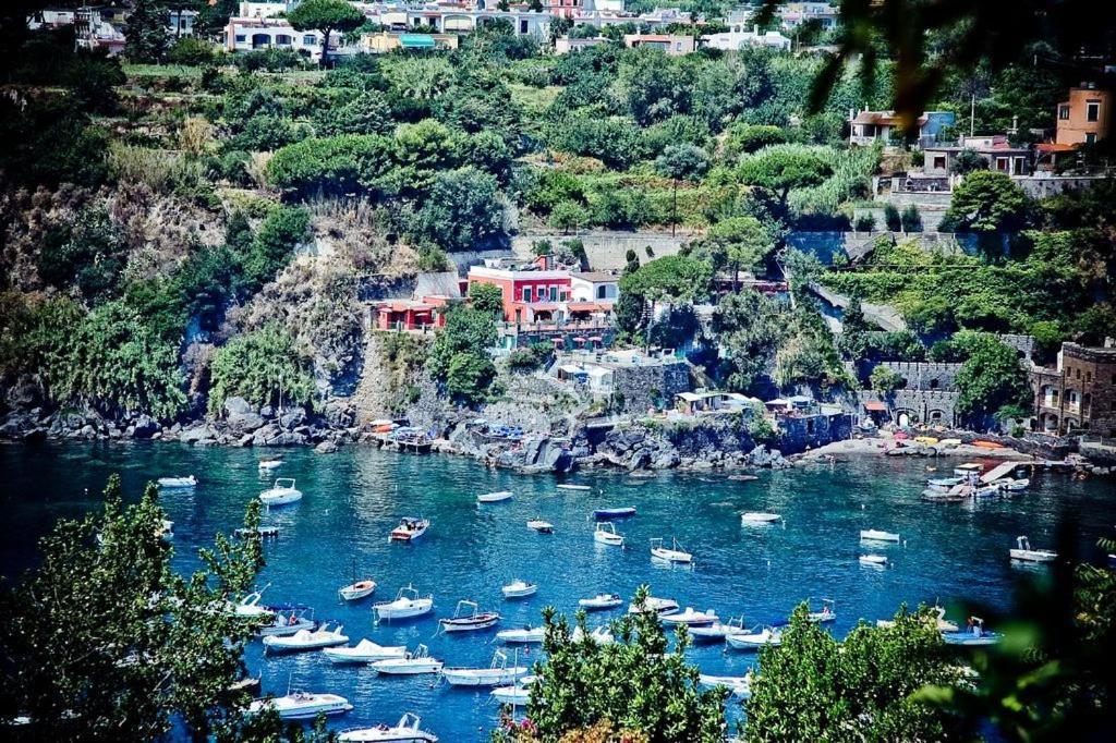 Hotel Villa Antonio Ischia Eksteriør billede